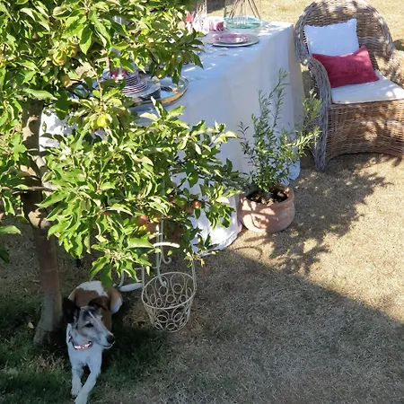 Charmantes Haus - Ein Kleines Juwel Fuer Auszeiten Ahlen