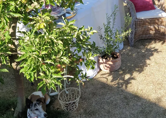 Charmantes Haus - Ein Kleines Juwel Fuer Auszeiten Ahlen